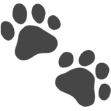 Kids - Animals