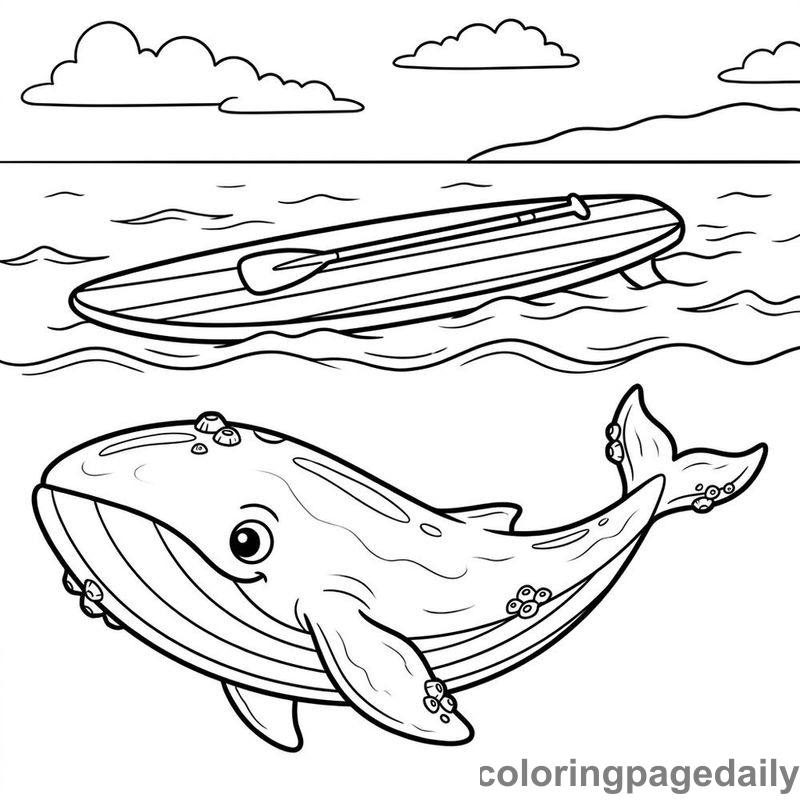Blue Whale And Paddleboard - Colored reference example