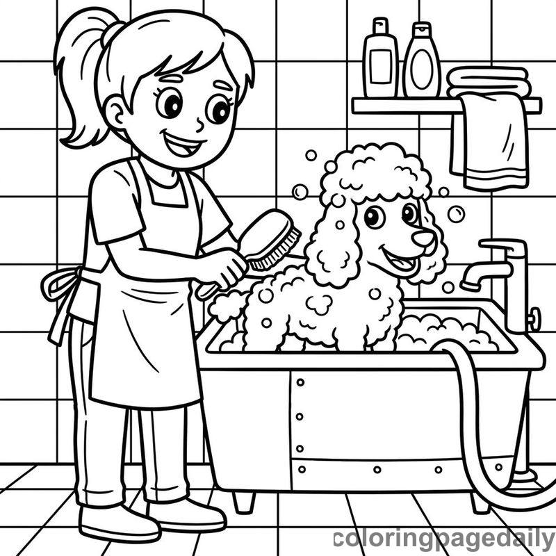 Dog Groomer Brushing Poodle - Colored reference example