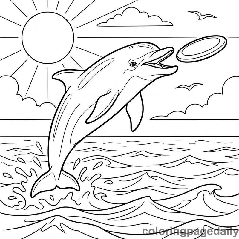 Dolphin Catching Flying Disc - Colored reference example