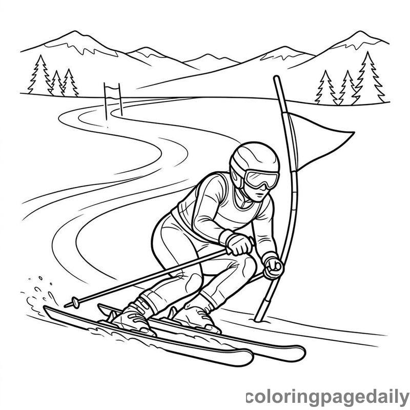 Downhill Slalom Skier - Colored reference example