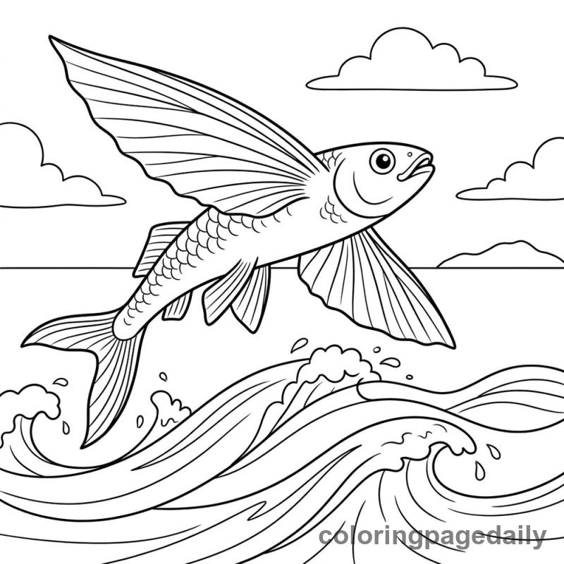 Flying Fish Gliding - Colored reference example
