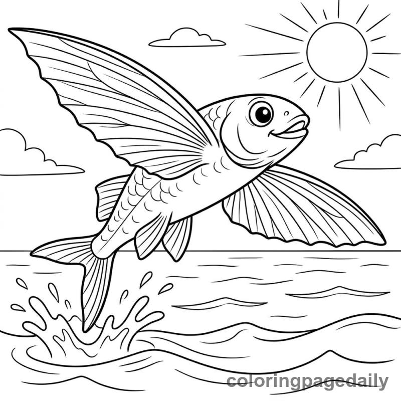 Flying Fish Leaping - Colored reference example