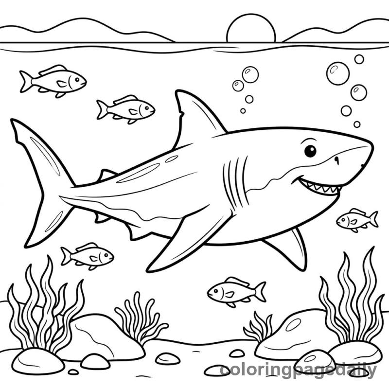 Friendly Shark Swimming - Colored reference example