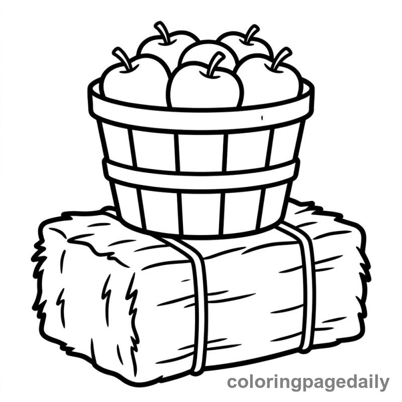 Harvest Basket of Apples - Colored reference example