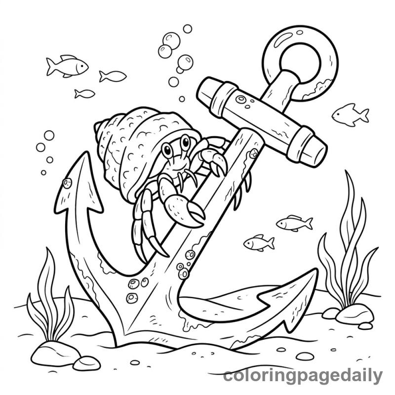 Hermit Crab On Anchor - Daily printable coloring page in Ocean and Underwater Life category