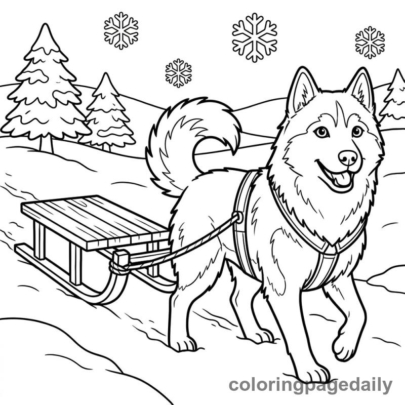 Husky Dog Pulling Sled - Colored reference example