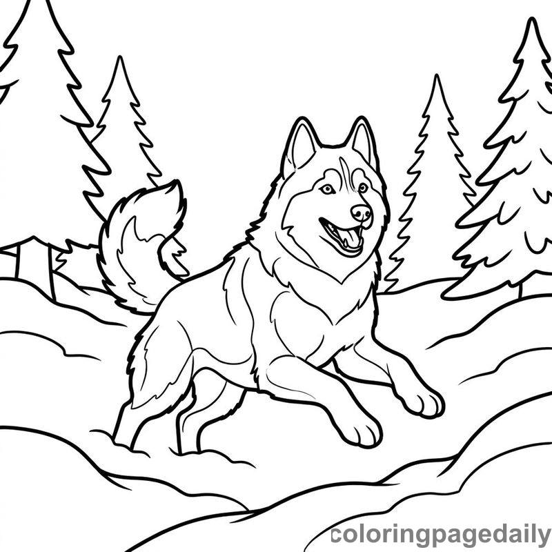 Husky Running In Snow - Colored reference example