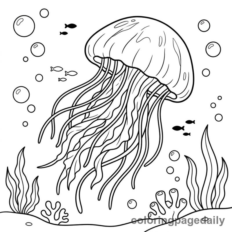 Jellyfish Floating Underwater - Colored reference example