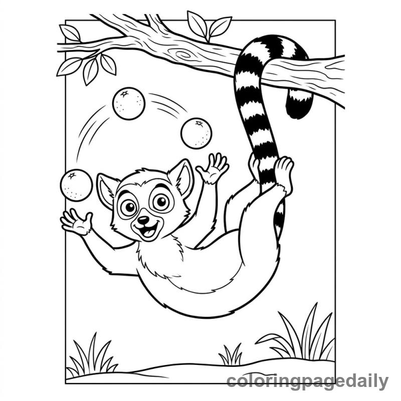 Lemur Juggling Oranges - Colored reference example