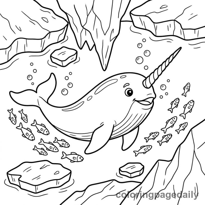 Narwhal Swimming Underwater - Colored reference example