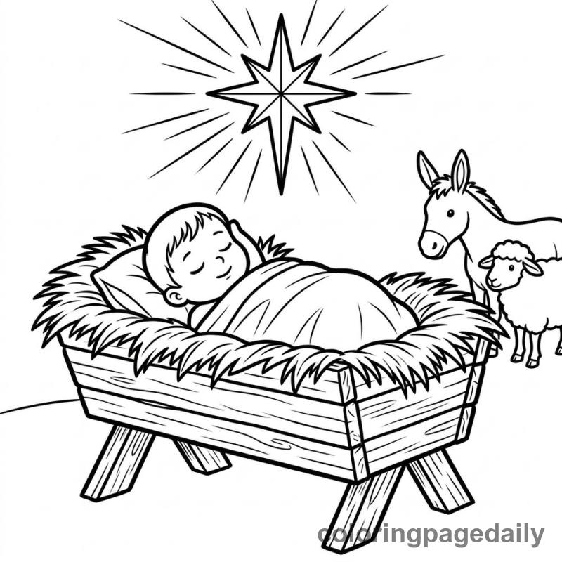 Nativity Manger Scene - Colored reference example