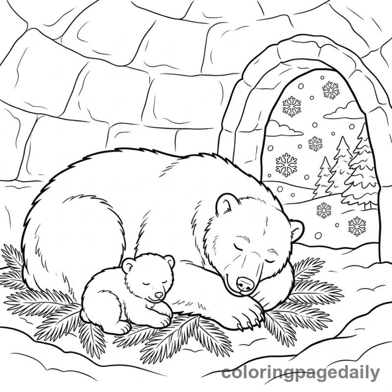 Polar Bears Sleeping in Den - Colored reference example