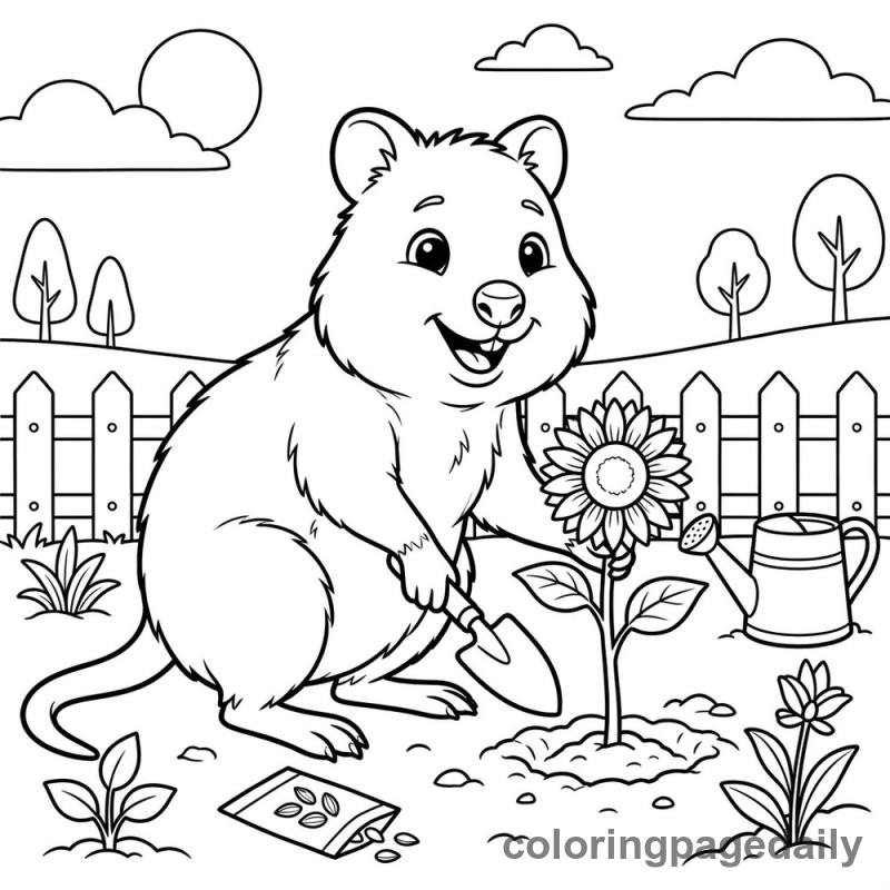Quokka Plants a Sunflower - Colored reference example