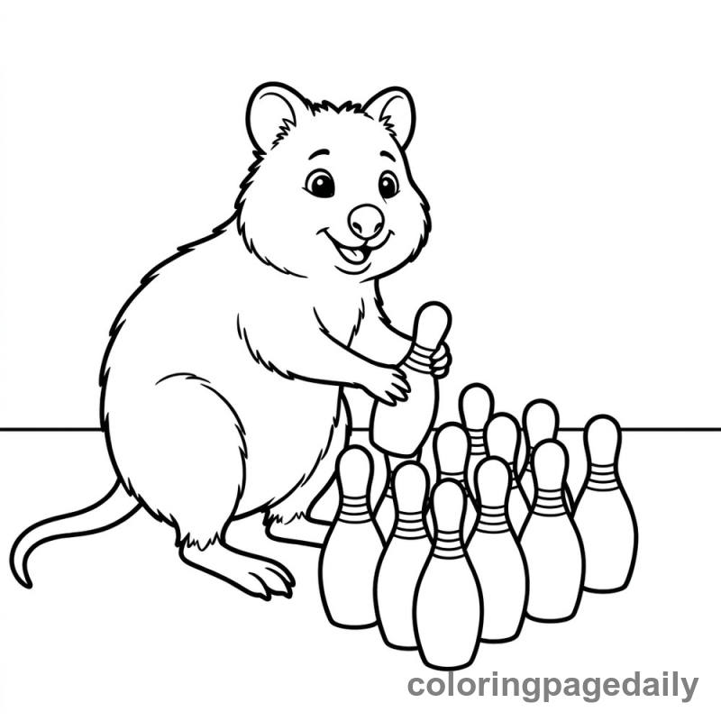Quokka Setting Up Bowling Pins - Colored reference example