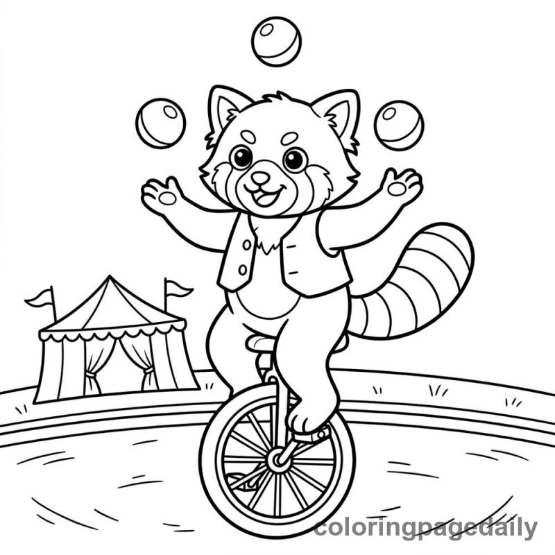 Red Panda Unicycle Act - Colored reference example