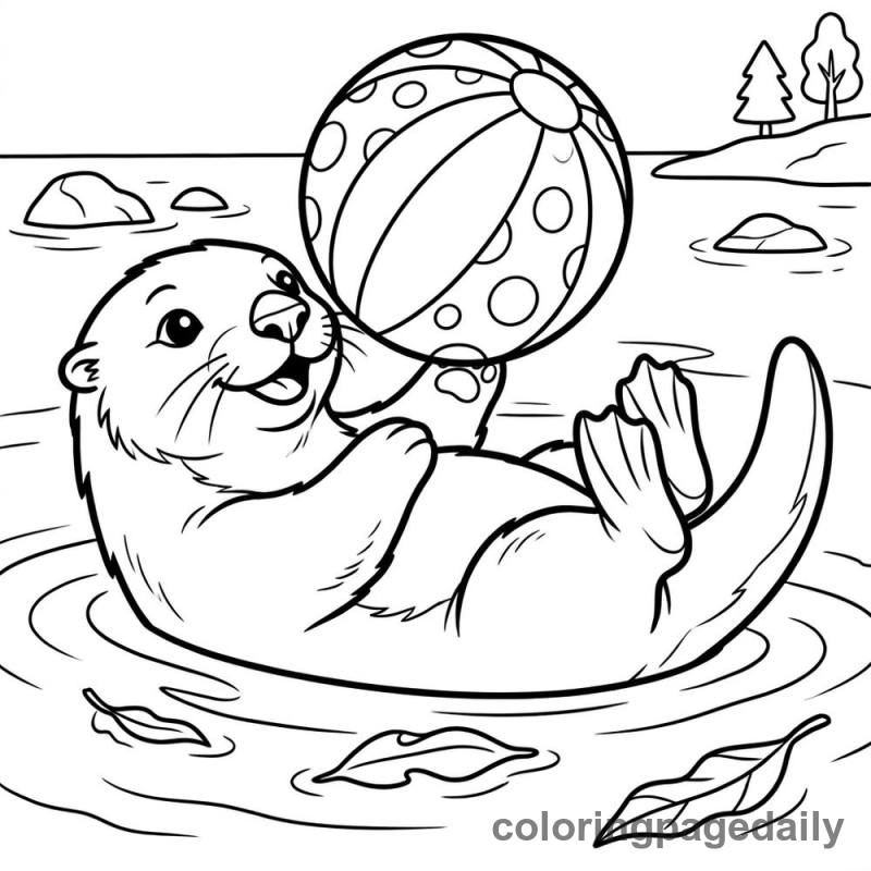 Sea Otter Balancing Ball - Colored reference example