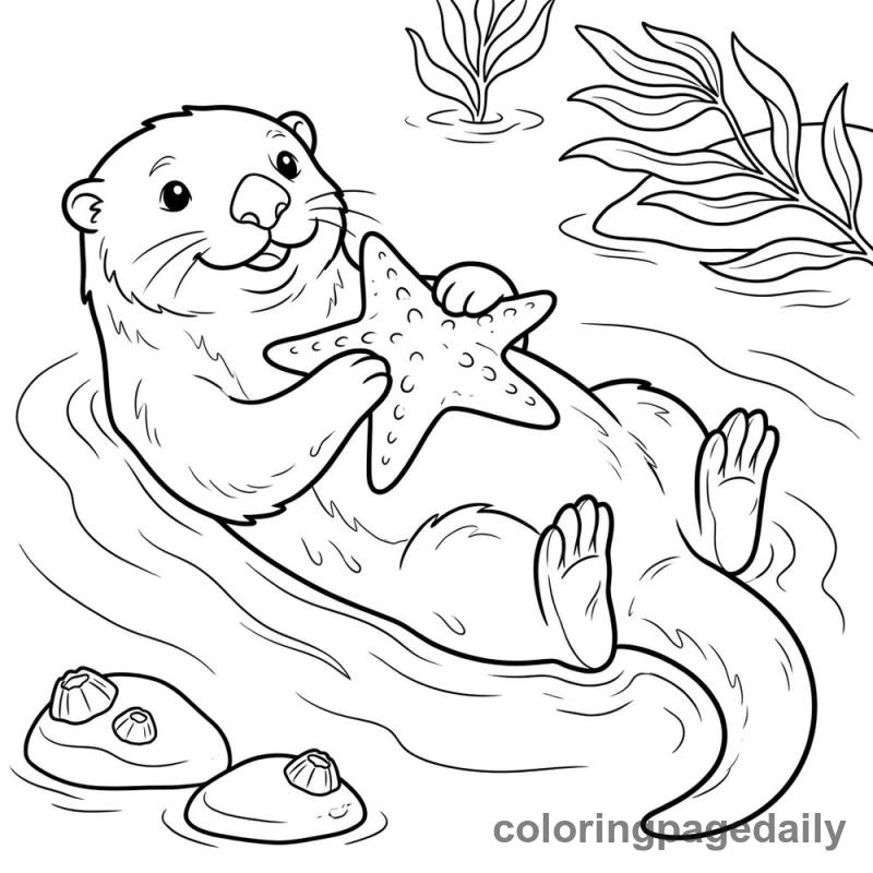 Sea Otter Holding Starfish - Colored reference example