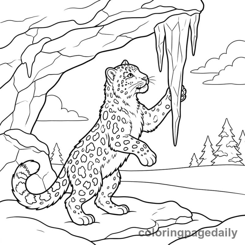 Snow Leopard Playing - Colored reference example
