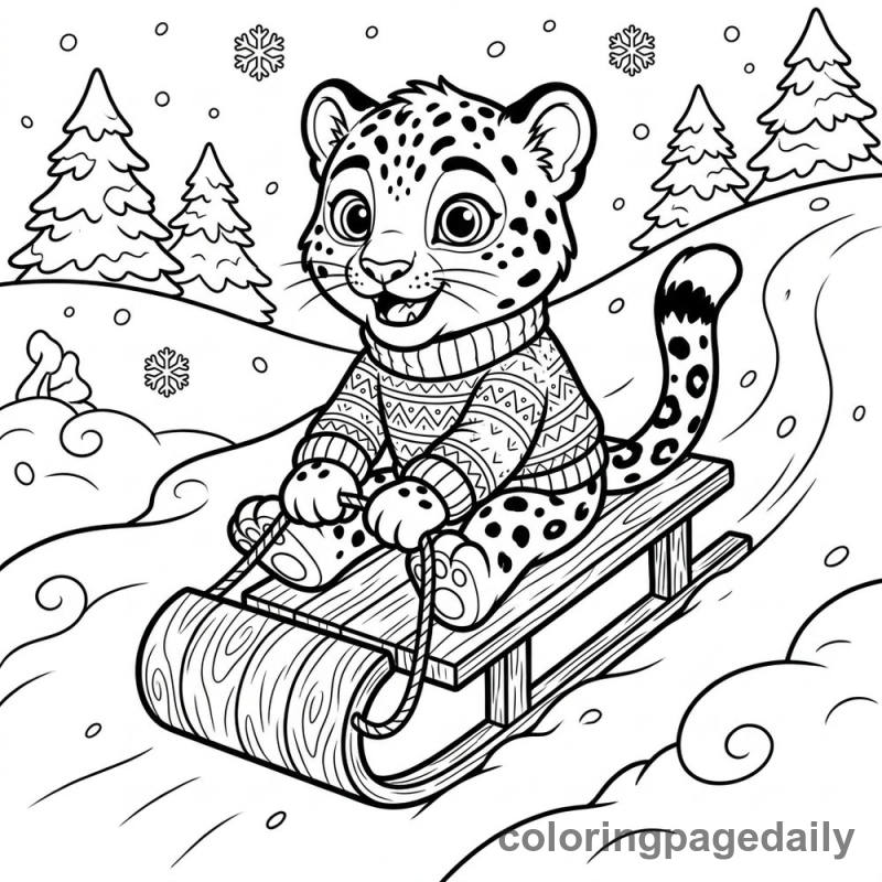 Snow Leopard Toboggan Ride - Colored reference example