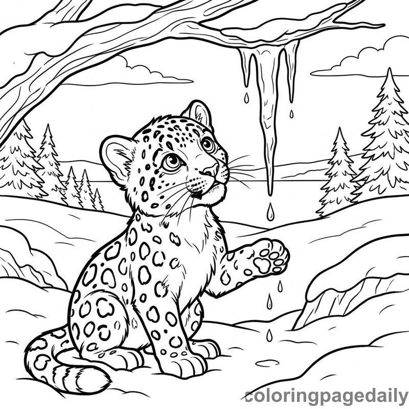 Snow Leopard Watching Melting Icicle - Colored reference example