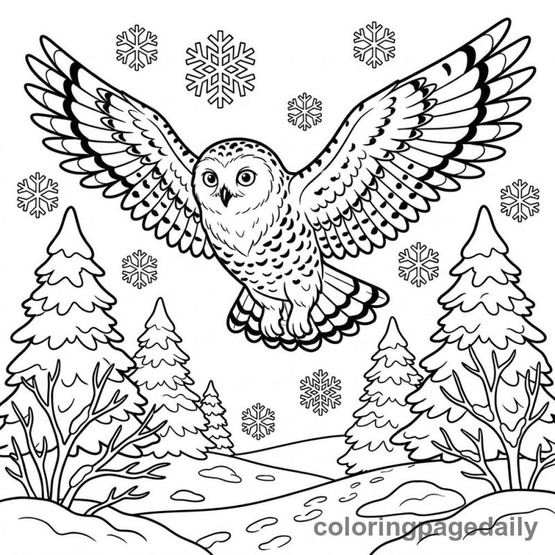 Snowy Owl Flying - Colored reference example