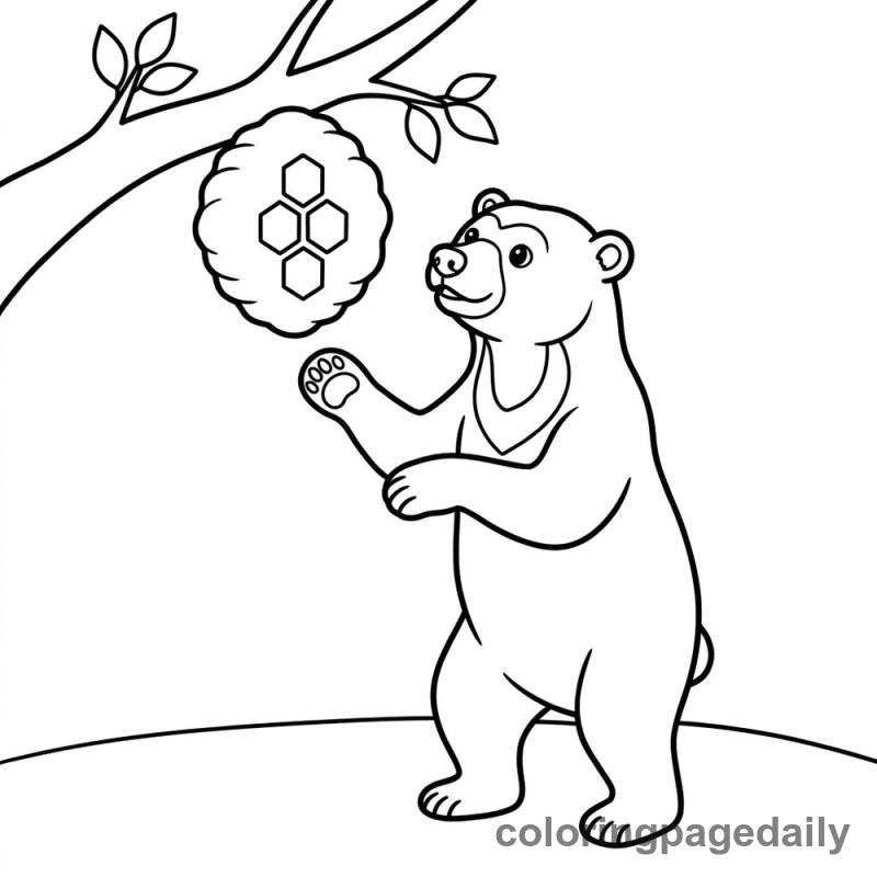 Sun Bear Honey Discovery - Colored reference example