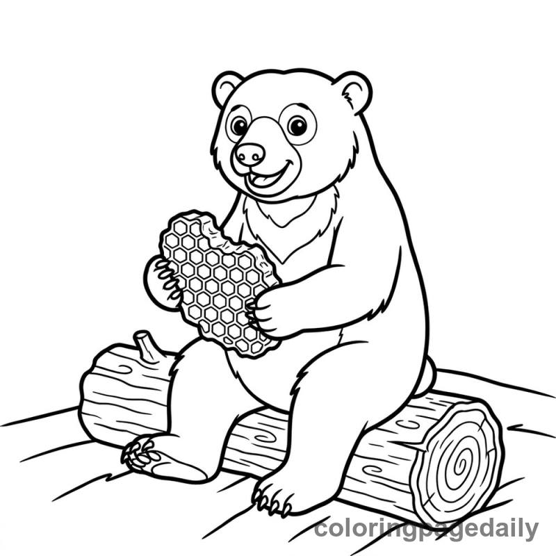 Sun Bear Honey Treat - Daily printable coloring page in Animals category
