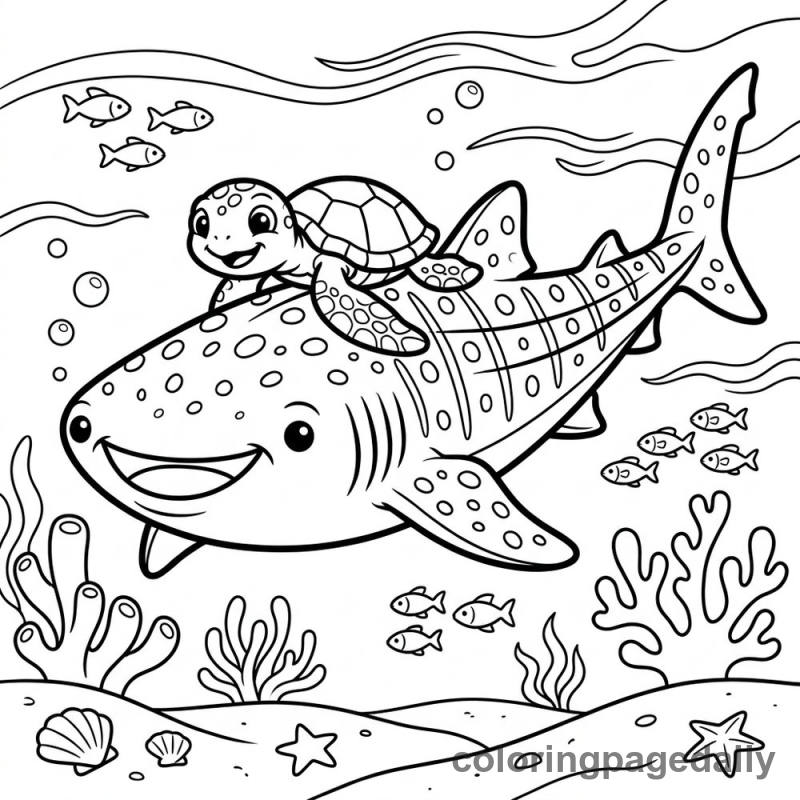 Whale Shark And Sea Turtle - Colored reference example
